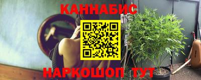 PSILOCYBIN Бугуруслан